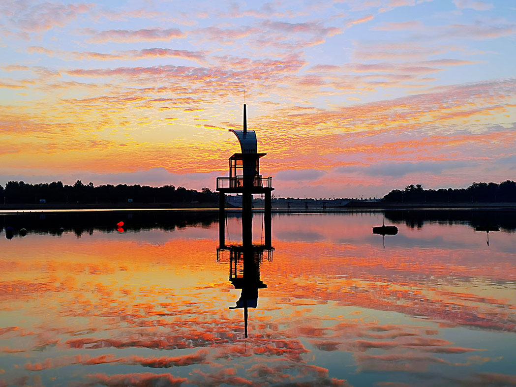 1665302467780036713.jpg WechatIMG26.jpg