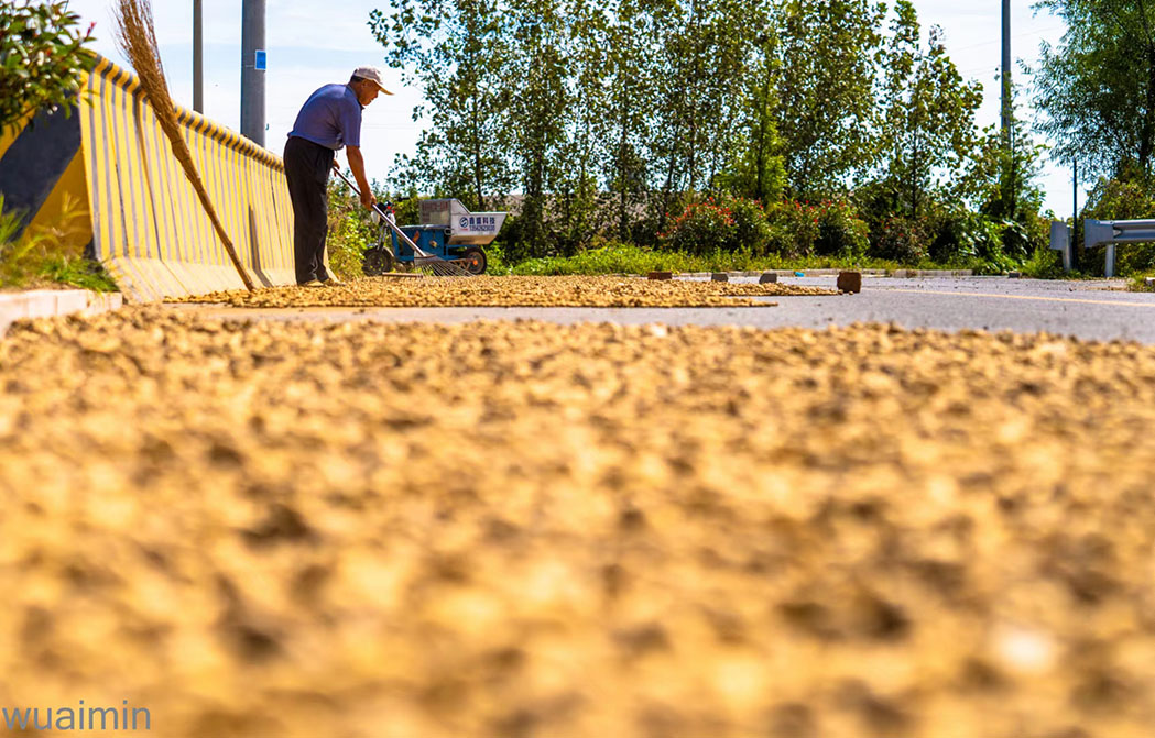 1665302759891095409.jpg WechatIMG32.jpg