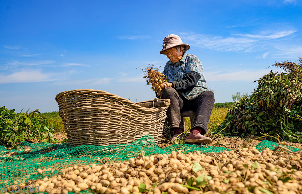 1665302766565064828.jpg WechatIMG38.jpg