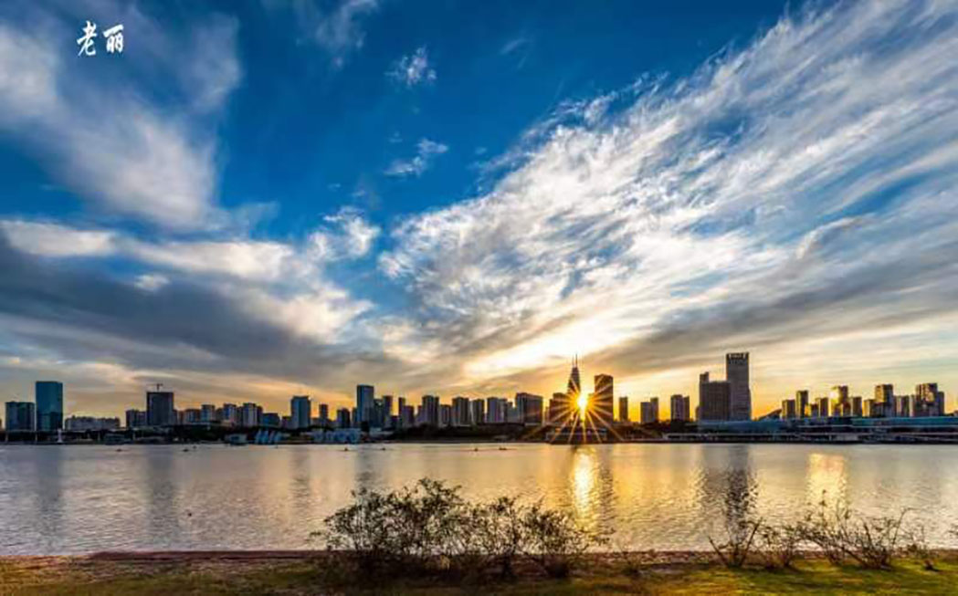 1665302969378092574.jpg WechatIMG51.jpg