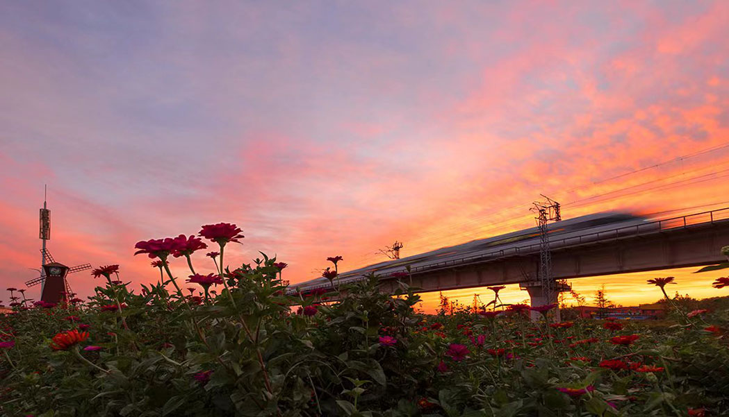 1665303159132029638.jpg WechatIMG64.jpg