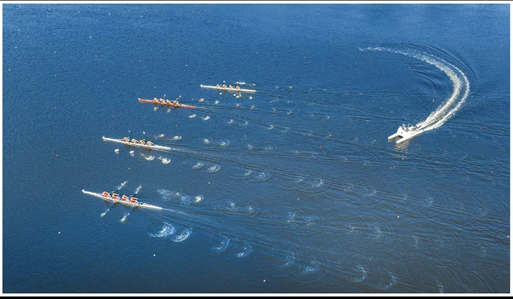 1665303168505025639.jpg WechatIMG66.jpg