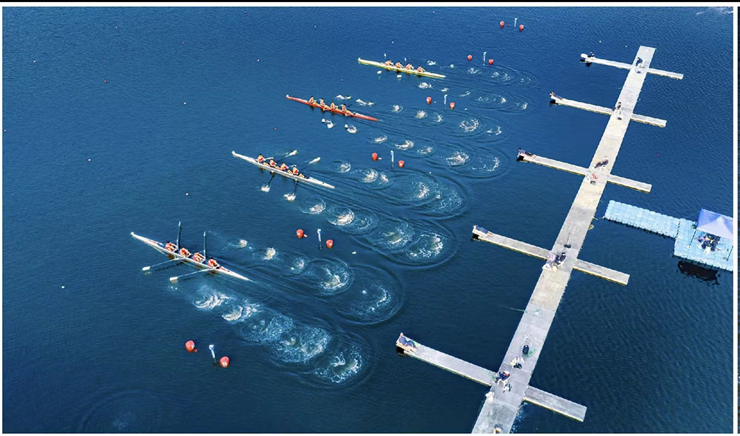 1665303187738037019.jpg WechatIMG67.jpg