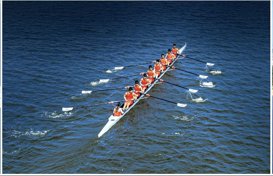 1665303202039050302.jpg WechatIMG68.jpg