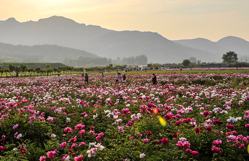 1685496242705023348.jpg 郭寶安 攝.jpg