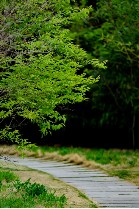 1744940455833045288.png image.png