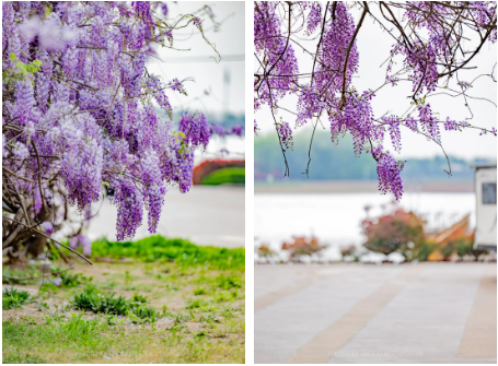 1744940511491027214.png image.png