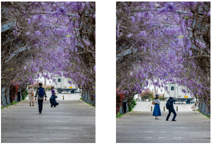 1744940552731063910.png image.png