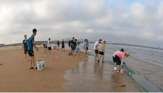 1747733337000033505.png image.png