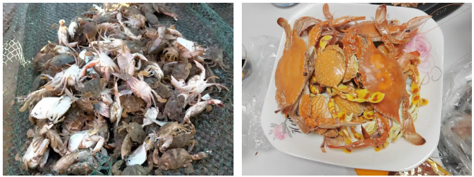 1747733393297033353.png image.png