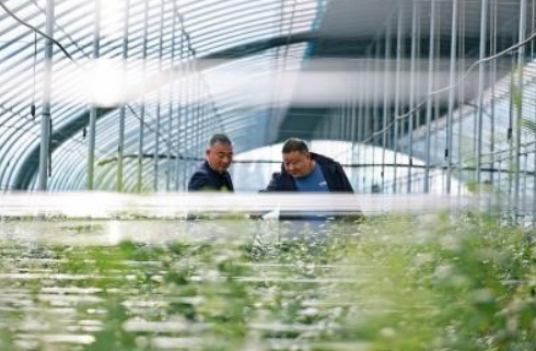 1763198647804055622.png ScreenShot_2025-11-15_172145_765.png