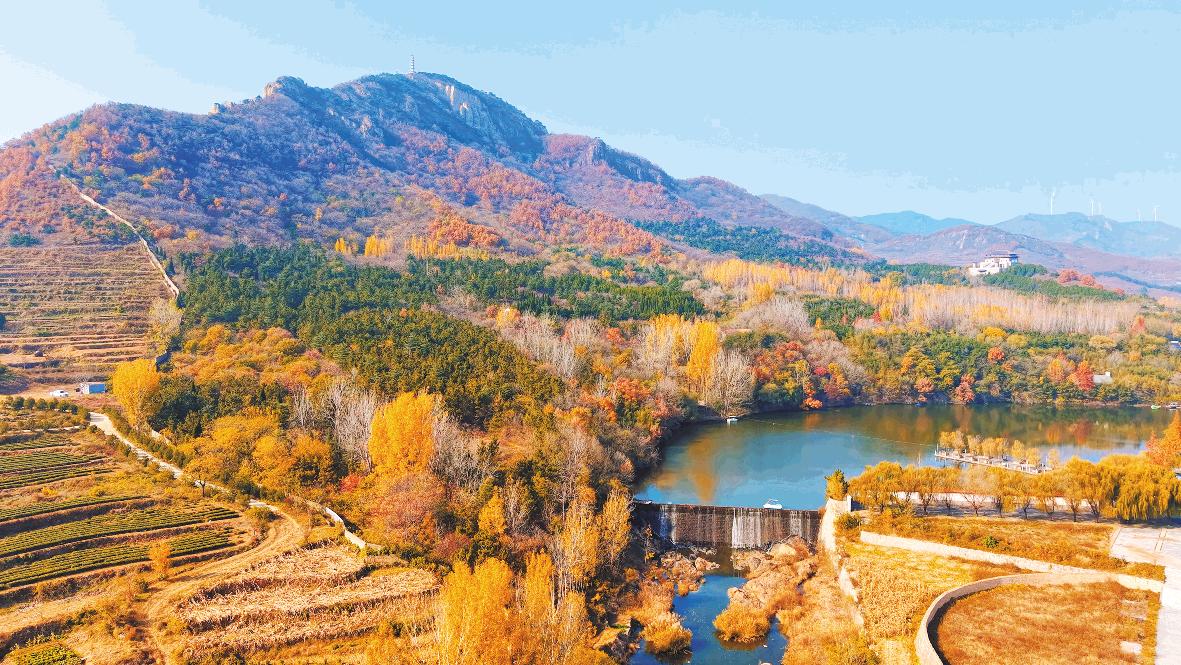 裁取冬色入畫框